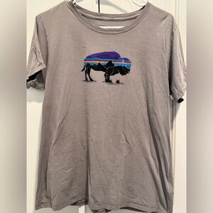 Patagonia Gray Graphic T-Shirt